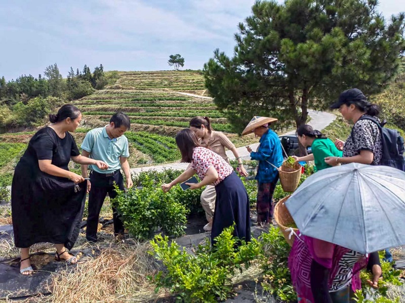 83786aadc65e2a3174a9a00fdbed18db.jpg 83786aadc65e2a3174a9a00fdbed18db.jpg