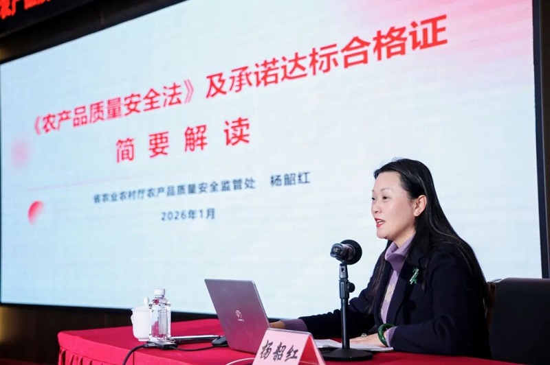 db905638-67cb-470f-bcf5-d383bcbb1fde.jpg